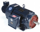Marathon Motors 30 HP Vector Motor,3-Phase,1765 Nameplate RPM,230/460 Voltage,Frame 286TC - 286THFPA8038