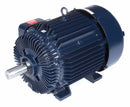 Marathon Motors 50 HP Vector Motor,3-Phase,1780 Nameplate RPM,230/460 Voltage,Frame 326T - 326THFS8028