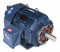 Marathon Motors 60 HP Vector Motor,3-Phase,1180 Nameplate RPM,230/460 Voltage,Frame 404TC - 404THFS8092