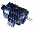 Marathon Motors 125 HP Vector Motor,3-Phase,1785 Nameplate RPM,460 Voltage,Frame 444T - 444THFN8046