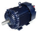 Marathon Motors 125 HP Vector Motor,3-Phase,1785 Nameplate RPM,460 Voltage,Frame 444T - 444THFN8046
