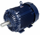 Marathon Motors 150 HP Vector Motor,3-Phase,1790 Nameplate RPM,460 Voltage,Frame 445T - 445THFN8036