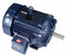Marathon Motors 200 HP Vector Motor,3-Phase,1790 Nameplate RPM,460 Voltage,Frame 445T - 445THFN8040