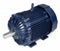 Marathon Motors 200 HP Vector Motor,3-Phase,1790 Nameplate RPM,460 Voltage,Frame 445T - 445THFN8040