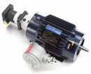 Marathon Motors 2 HP Vector Motor,3-Phase,1750 Nameplate RPM,230/460 Voltage,Frame 145TC - 145THEN8034