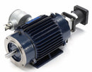 Marathon Motors 2 HP Vector Motor,3-Phase,1750 Nameplate RPM,230/460 Voltage,Frame 145TC - 145THEN8034