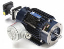Marathon Motors 2 HP Vector Motor,3-Phase,1750 Nameplate RPM,230/460 Voltage,Frame 145TC - 145THEN8034