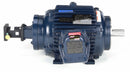 Marathon Motors 7 1/2 HP Vector Motor,3-Phase,1782 Nameplate RPM,230/460 Voltage,Frame 254TC - 254THEN8058