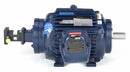 Marathon Motors 10 HP Vector Motor,3-Phase,1775 Nameplate RPM,230/460 Voltage,Frame 254TC - 254THEN8059