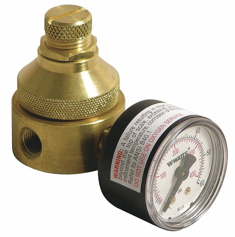 Watts Pressure Regulator, Lead Free Brass, 0 to 125 psi - 1/4 LF560G 0-125