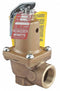 Watts Bronze Safety Relief Valve, FNPT Inlet Type, FNPT Outlet Type - 2 174A-125