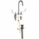 Chicago Faucets Chrome, Gooseneck, Kitchen Sink Faucet, Bathroom Sink Faucet, Manual Faucet Activation, 2.20 gpm - 894-317ABCP