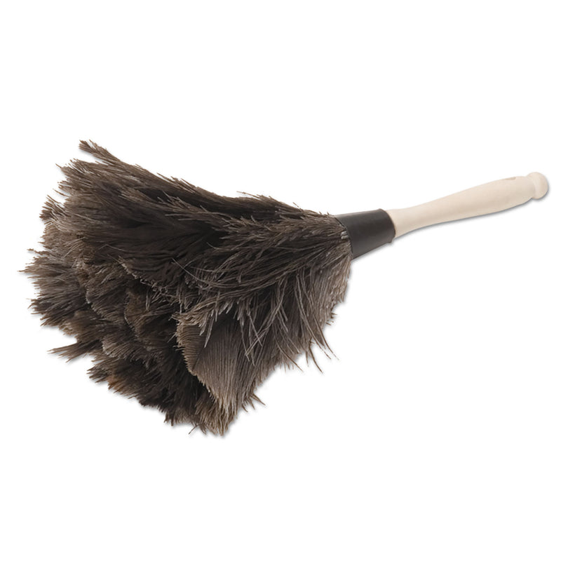 Boardwalk Professional Ostrich Feather Duster, 4" Handle - BWK12GY