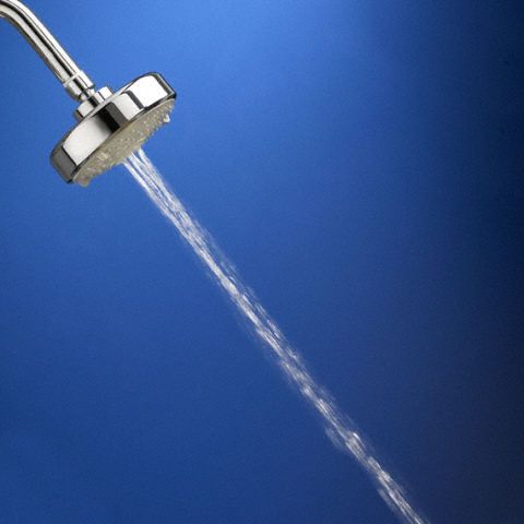 American Standard Shower Head, Wall Mounted, Chrome, 2.5 gpm - 1660650.002