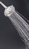 Danze Shower Head, Wall Mounted, Chrome, 2.5 gpm - D460036