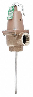 Watts Temperature and Pressure Relief Valve, 4,059,000 BtuH, 150 psi, 9 in Thermostat Length - LFN240X9-150-210-1"