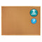 Quartet Push-Pin Bulletin Board, Cork, 48 inH x 72 inW, Brown - 307
