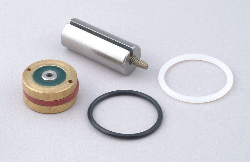 Dayton Valve Rebuild Kit, 3A433, 4A699, 4A700 For Use With - 66067