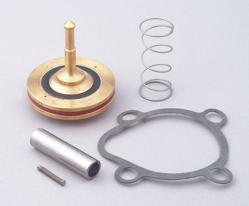 Dayton Valve Rebuild Kit, 3A437 For Use With - 66066