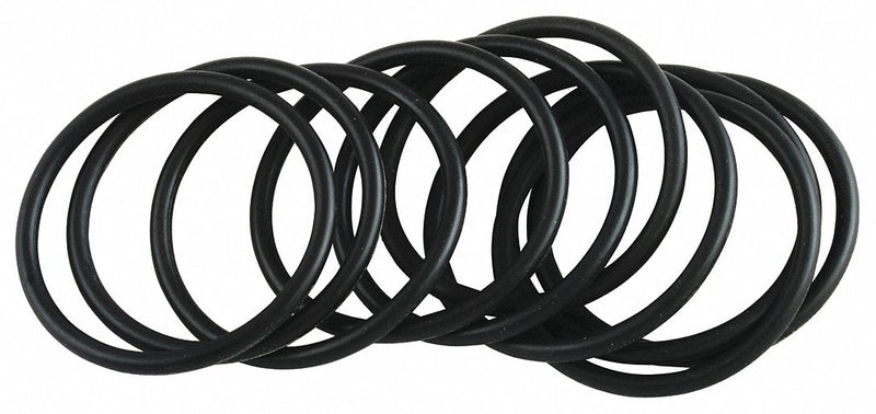 Acorn O-Ring, Fits Brand Acorn, For Use with Series Acorn, Toilets, Prison Toilets, PK 10 - 0401-124-001