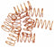Acorn Metering Springs, Fits Brand Acorn, For Use with Series Air-Trol(R), Toilets, Prison Toilets - 2563-023-001