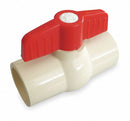 Top Brand Ball Valve, CPVC, Inline, 1-Piece, Pipe Size 1 1/4 in, Tube Size 1 1/4 in - 107-126