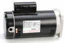 Century 3 HP Square Flange Pool Pump Motor, Capacitor-Start/Run, 3450 Nameplate RPM, 208-230 Voltage, 56Y Fr - SQ1302V1