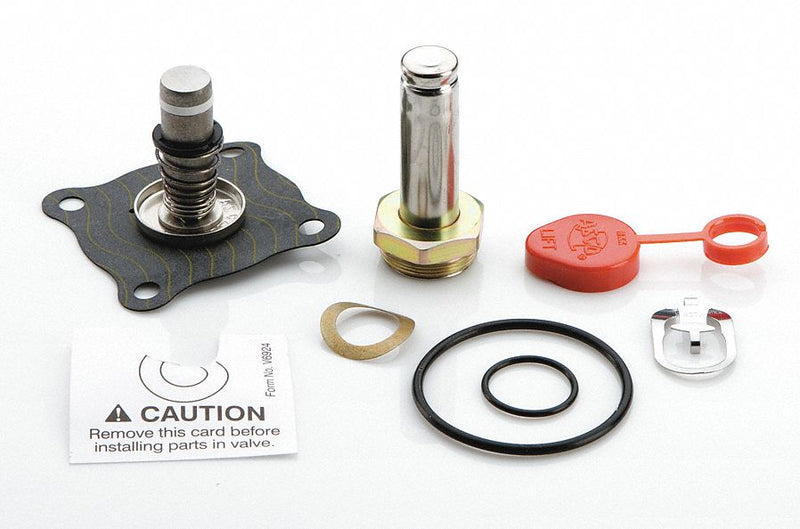 ASCO Valve Rebuild Kit - 302350