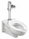 American Standard Exposed, Top Spud, Automatic Flush Valve, For Use With Category Toilets, 1.1 Gallons per Flush - 6065111.002