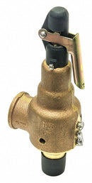 Kunkle Bronze Safety Relief Valve, MNPT Inlet Type, FNPT Outlet Type - 6010DCM01-KM-100