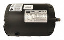 Dayton 31LH37 - 3Ph 1/4HP 1765 208-230/460 69.5