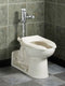 American Standard Elongated, Floor with Back Outlet, Flush Valve, Bedpan Holding Toilet Bowl - 3696001.02