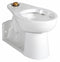 American Standard Elongated, Floor with Back Outlet, Flush Valve, Bedpan Holding Toilet Bowl - 3696001.02