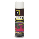 Misty Handheld Air Deodorizer, Summer Breeze, 10 Oz Aerosol, 12/Carton - AMR1001868