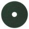 Americo Scrubbing Pads, 14" Diameter, Green, 5/Ct - AMF400314