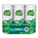 Seventh Generation Multi Purpose Wipes, 7 X 7 1/2, Garden Mint, 37 Wipes/Container, 3 Container/Pk - SEV44689PK