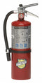 Buckeye Fire Extinguisher, Dry Chemical, Monoammonium Phosphate, 5 lb, 3A:40B:C UL Rating - 10914