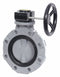 Hayward Wafer-Style Butterfly Valve, Polypropylene, 150 psi, 3 in Pipe Size - BYV44030A0EG000