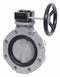 Hayward BYV22120A0NG000 - Butterfly Valve CPVC EPDM 12in Gear Lug
