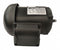 Dayton 1/4 HP, General Purpose Motor, 3-Phase, 3460 Nameplate RPM, 230/460 Voltage, 56C Frame - 36VF17