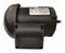 Dayton 36VF75 - GP Motor TEFC 1/3 HP 1765 rpm 5/8in dia.