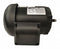 Dayton 36VF76 - GP Motor TEFC 1/2 HP 3435 rpm 5/8in dia.