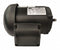 Dayton 3/4 HP, General Purpose Motor, 3-Phase, 1720 Nameplate RPM, 230/460 Voltage, 56C Frame - 36VF80