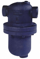 Armstrong 3/4 in Ductile Iron Steam Separator - DS-1-075