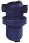 Armstrong 1 1/4 in Ductile Iron Steam Separator - DS-1-125