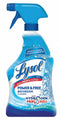 Lysol Bathroom Cleaner, 22 oz. Cleaner Container Size, Trigger Spray Bottle Cleaner Container Type - REC 85668
