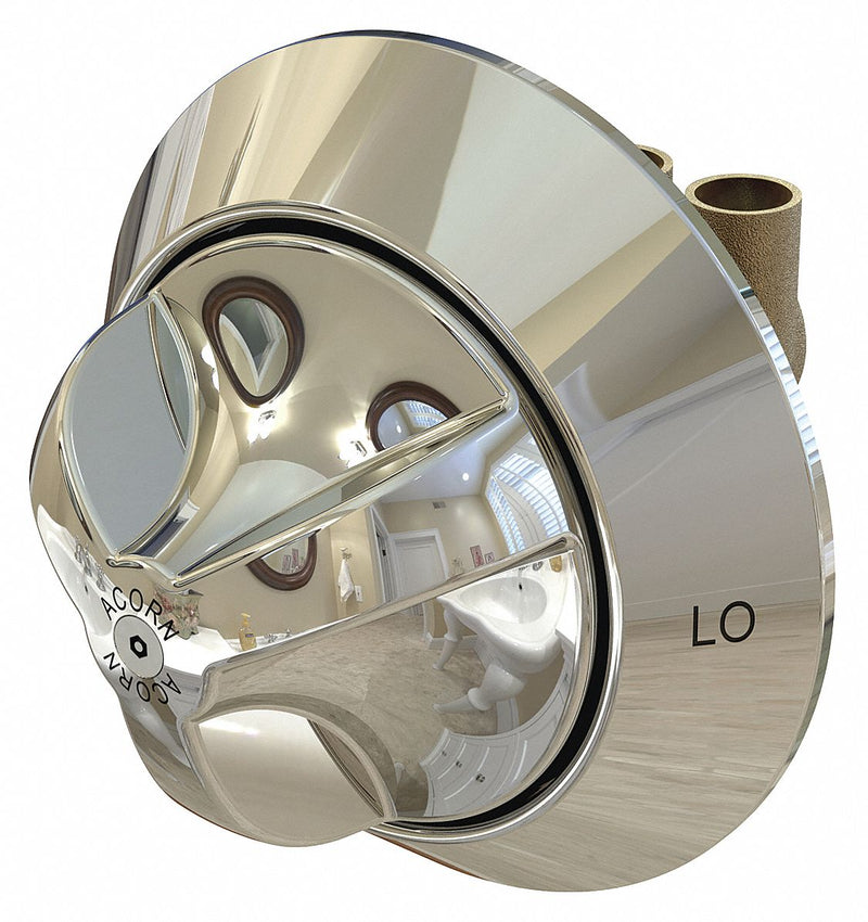 Bestcare Ligature Resistant, Chrome Finish, For Use With Ligature Resistant Showers, 1/2" NCT Connection - WHDIV