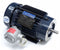 Marathon Motors 1 HP Hazardous Location Motor,3-Phase,1735 Nameplate RPM,230/460 Voltage,Frame 143TC - 143TTGN6551
