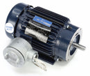 Marathon Motors 1 1/2 HP Hazardous Location Motor,3-Phase,1755 Nameplate RPM,230/460 Voltage,Frame 145TC - 145TTGN6536