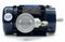 Marathon Motors 2 HP Hazardous Location Motor,3-Phase,1755 Nameplate RPM,230/460 Voltage,Frame 145TC - 145TTGN6549